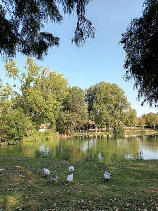 Pontaillac Metairie Appartement